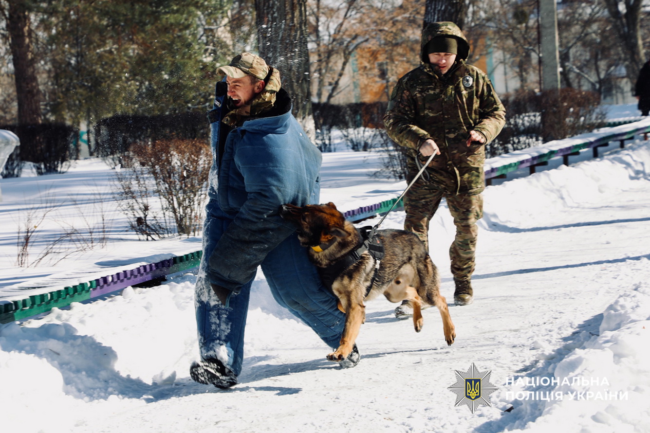Черкаські кінологи провели показові виступи для дітей у санаторії «Сосновий бір» - фото 2
