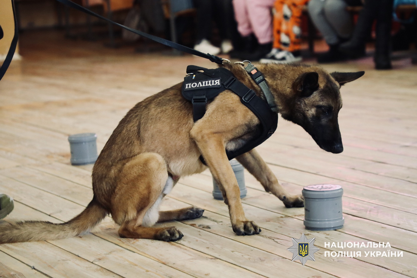 Черкаські кінологи провели показові виступи для дітей у санаторії «Сосновий бір» - фото 5