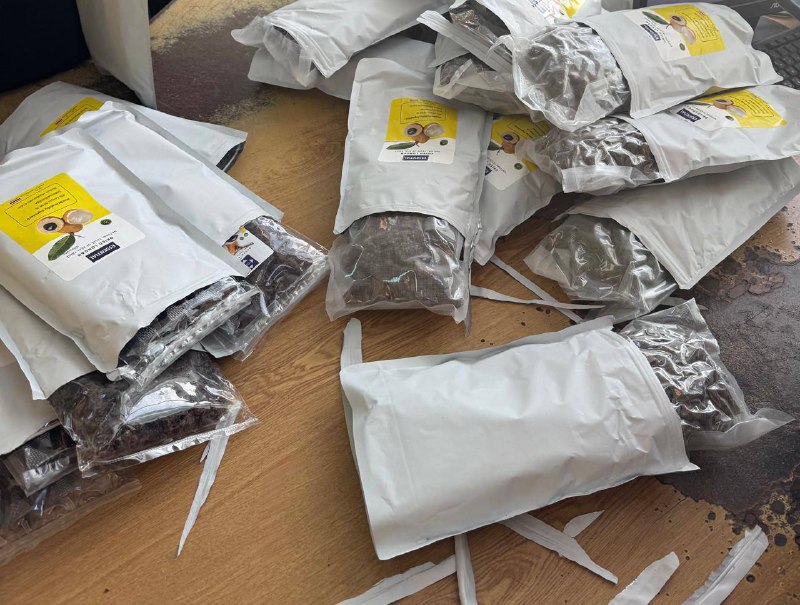 Бельгійська вівчарка допомогла київським митникам знайти наркотики у фруктах - фото 2