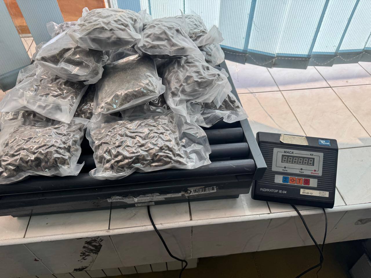 Бельгійська вівчарка допомогла київським митникам знайти наркотики у фруктах