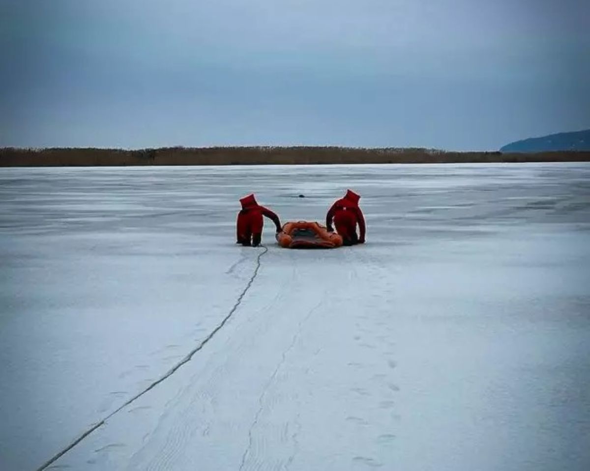 На Обухівщині рятувальники допомогли собаці вибратися з водяної пастки
