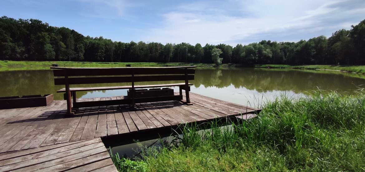 Мальовничі села Київської області для життя та відпочинку - фото 6