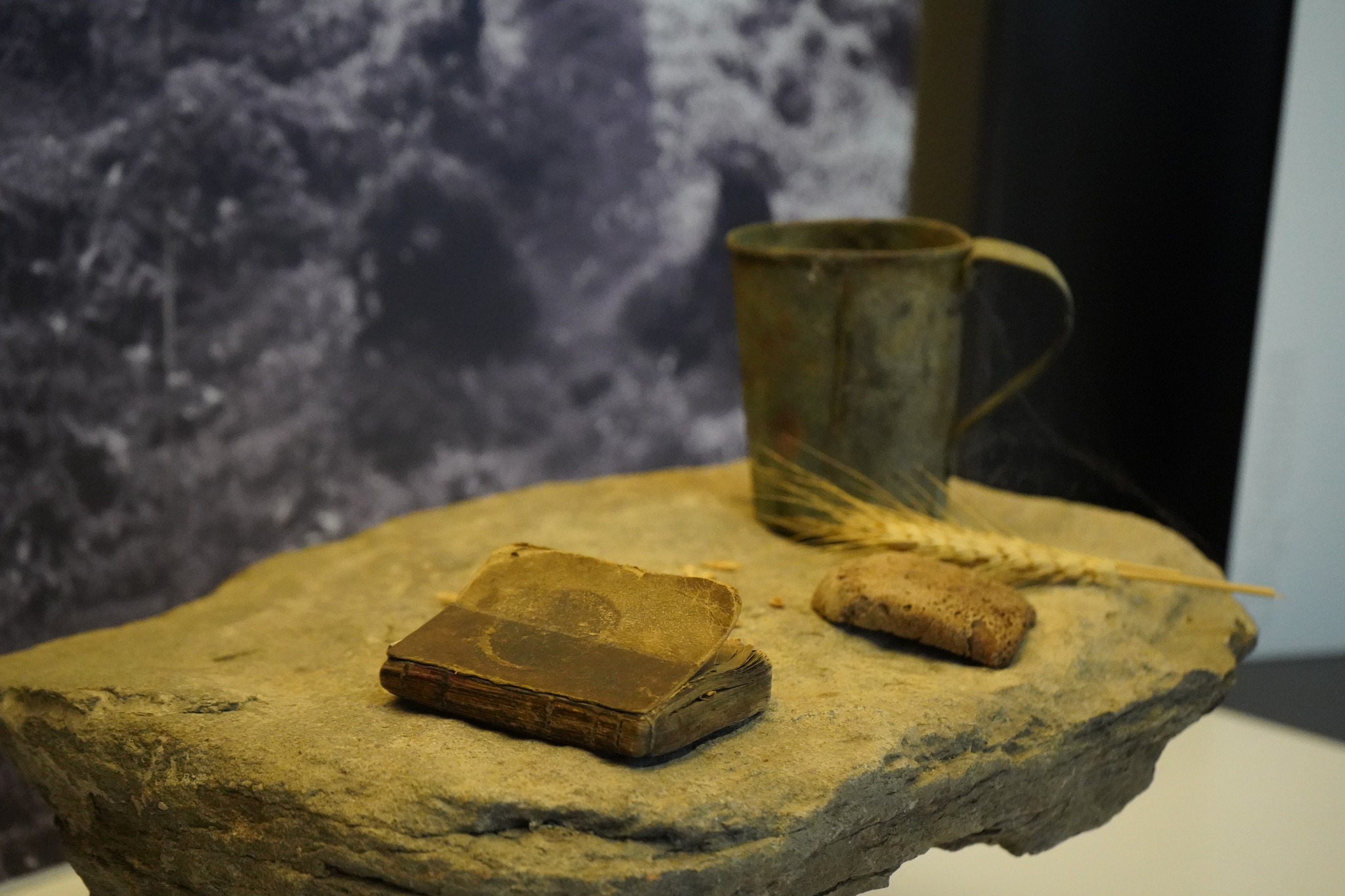 Вінничан запрошують на захопливі екскурсії та майстеркласи у березні