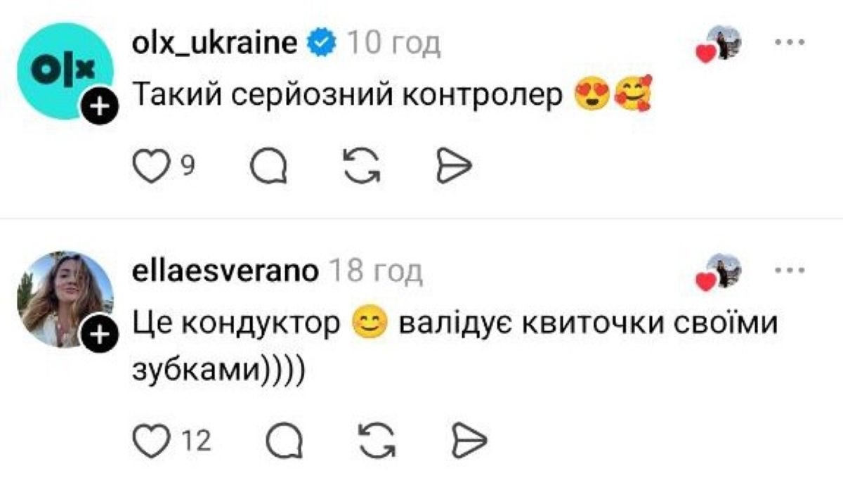 Чотирилапий напарник: столичний водій трамвая працює разом із пухнастим компаньйоном - фото 8