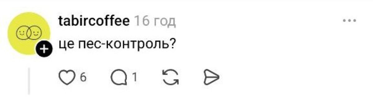 Чотирилапий напарник: столичний водій трамвая працює разом із пухнастим компаньйоном - фото 6