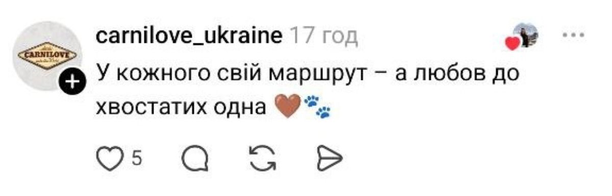 Чотирилапий напарник: столичний водій трамвая працює разом із пухнастим компаньйоном - фото 5
