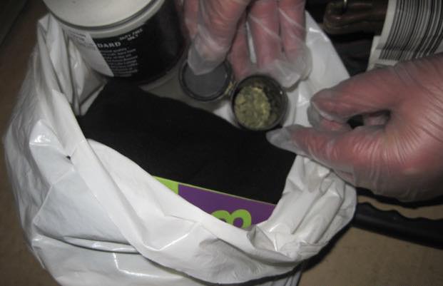 Собака вінницьких митників знайшла наркотики в іноземця