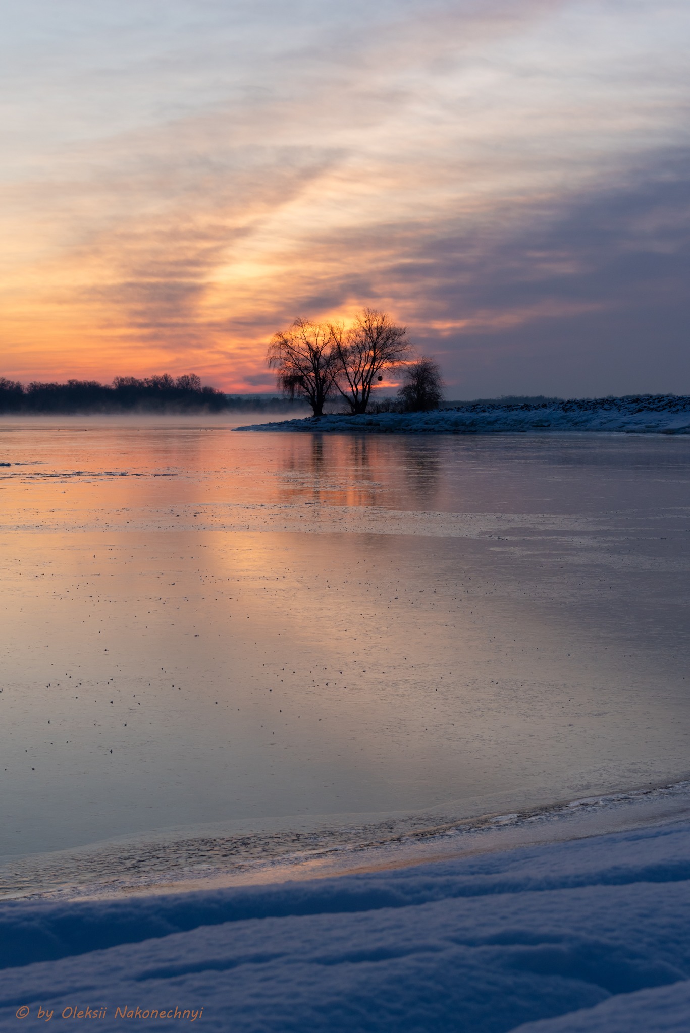 Чарівні пейзажі Канева в останні дні зими. Фото - фото 16