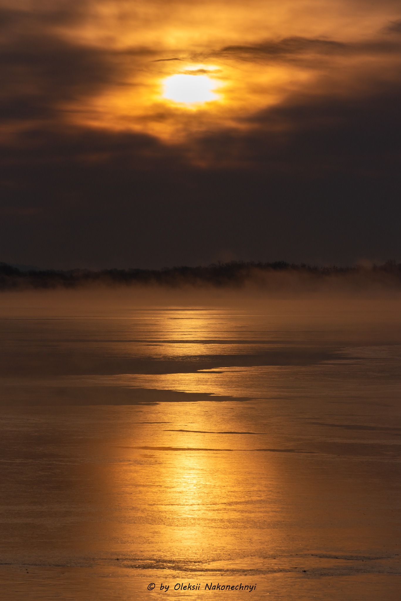 Чарівні пейзажі Канева в останні дні зими. Фото - фото 11