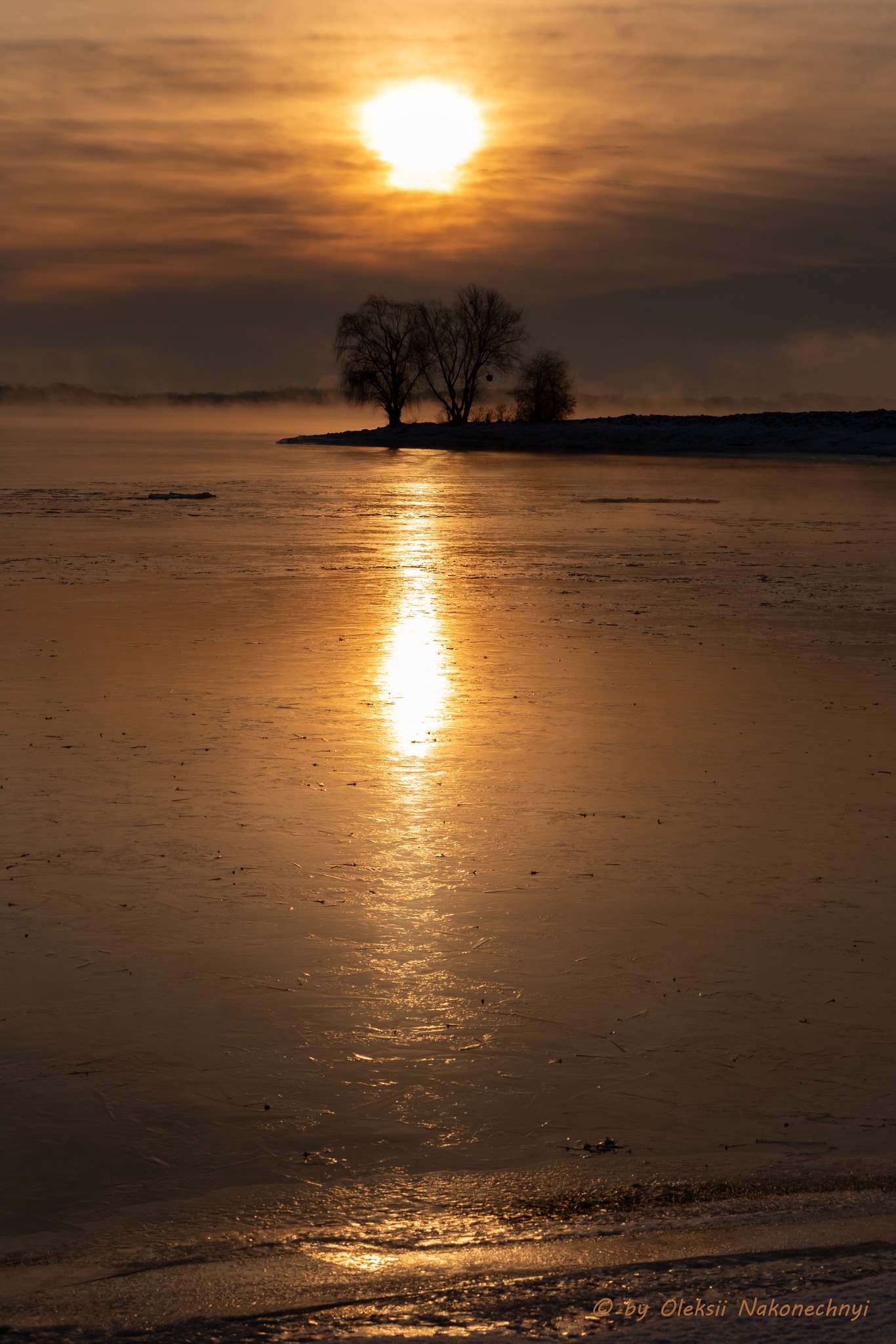Чарівні пейзажі Канева в останні дні зими. Фото - фото 10