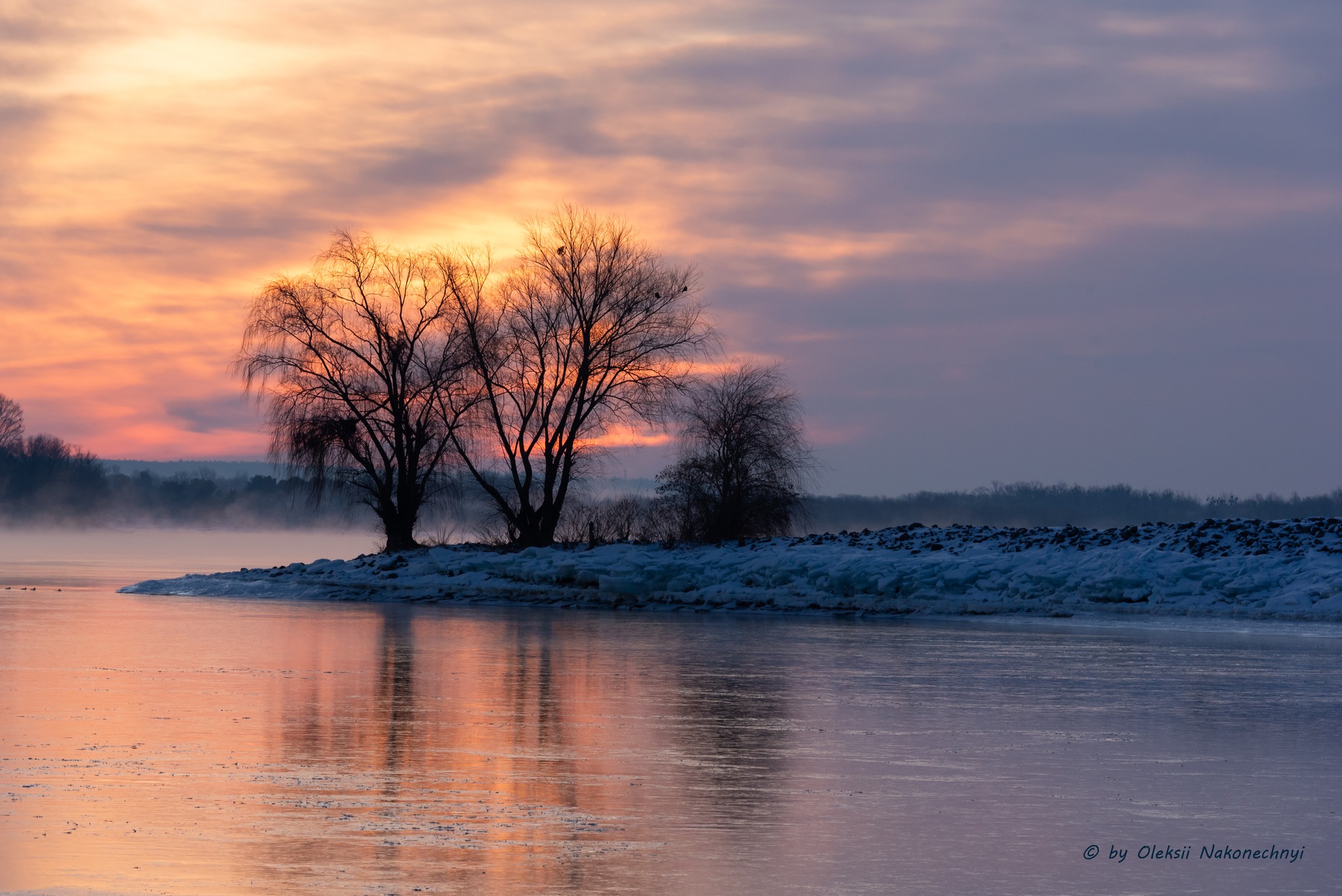 Чарівні пейзажі Канева в останні дні зими. Фото - фото 14