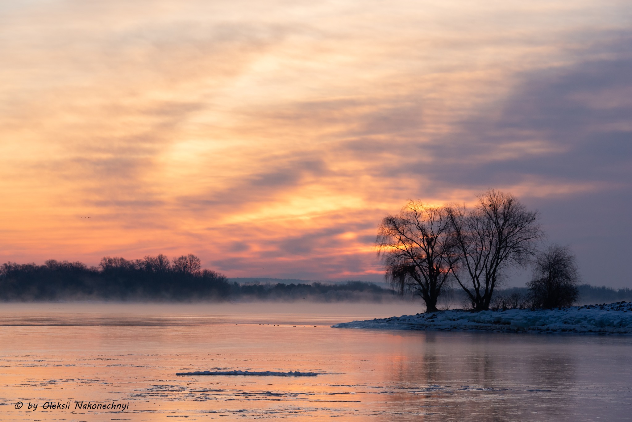 Чарівні пейзажі Канева в останні дні зими. Фото - фото 17