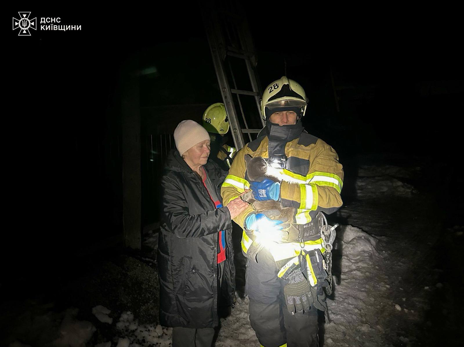 На Київщині надзвичайники врятували пухнастого «верхолаза» - фото 2