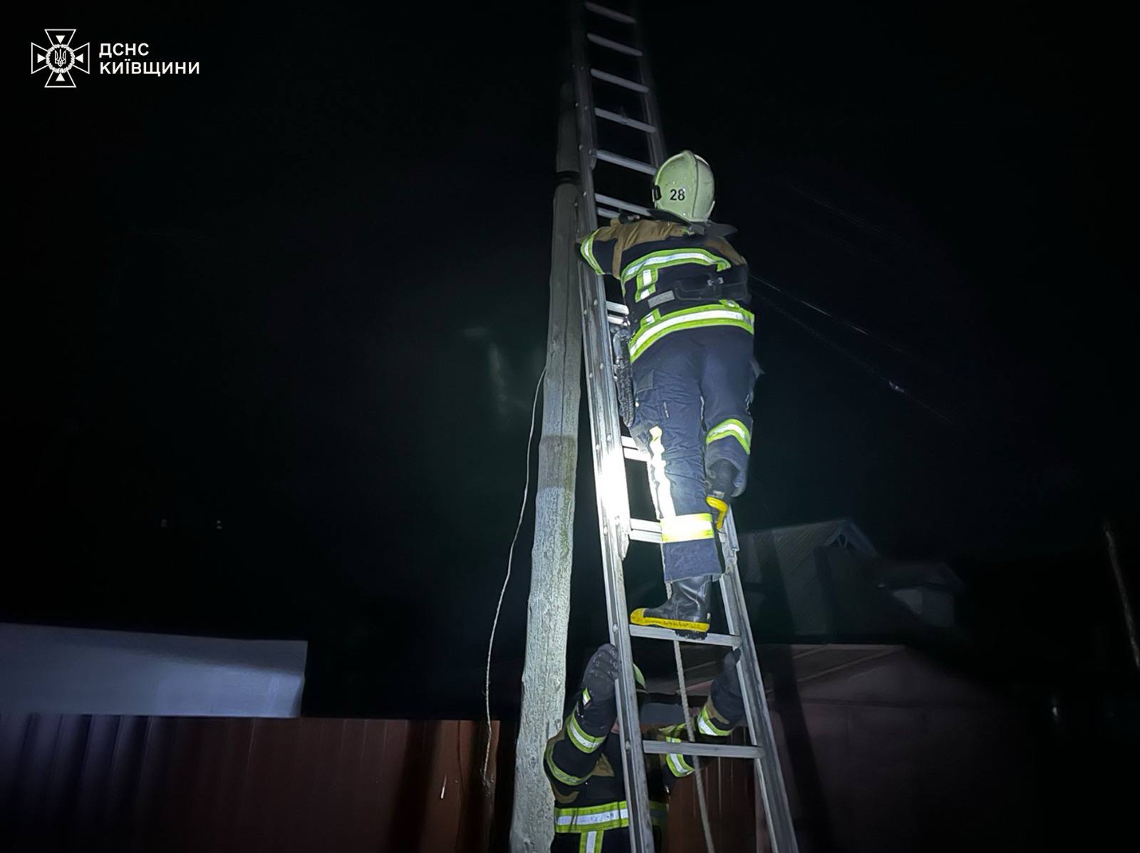 На Київщині надзвичайники врятували пухнастого «верхолаза»