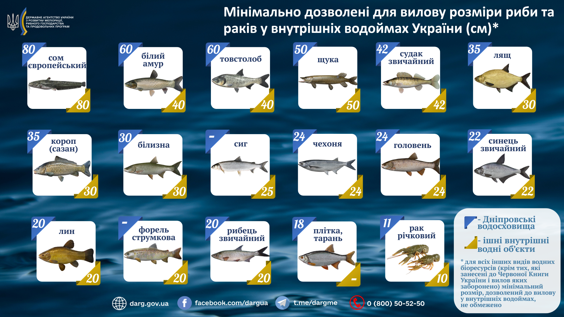 Пам’ятка для рибалок: мінімальні розміри риби та раків, дозволені до вилову