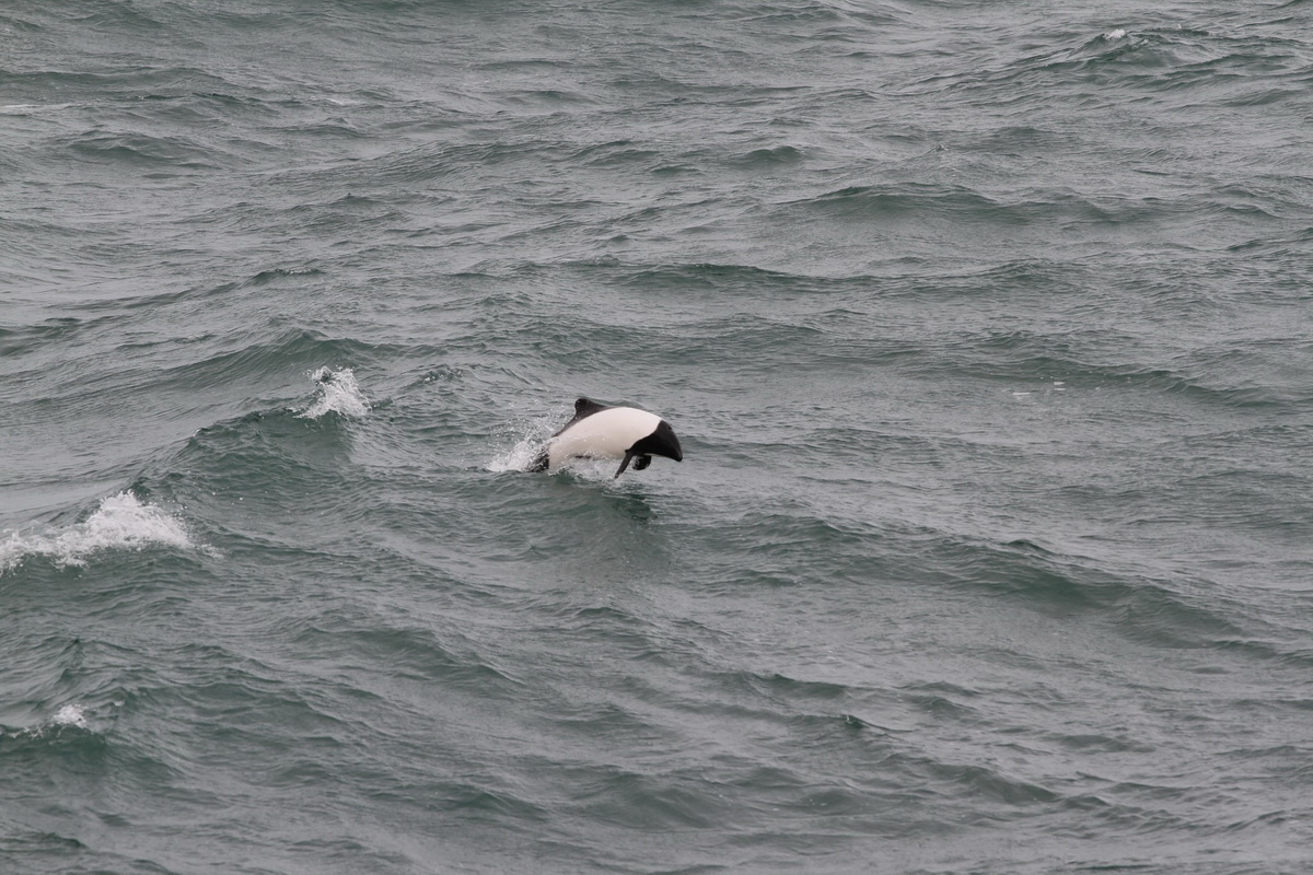 На станцію «Академік Вернадський» прибула нова експедиція, яку очолила Анжеліка Ганчук з Вінниці - фото 17
