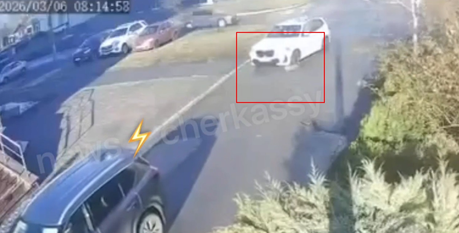 У Черкасах камери зняли, як автомобіль переїхав собаку