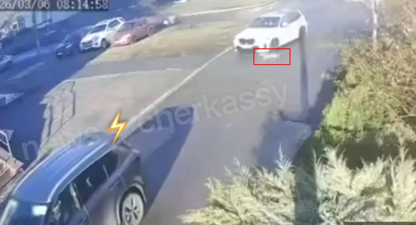 У Черкасах камери зняли, як автомобіль переїхав собаку - фото 2