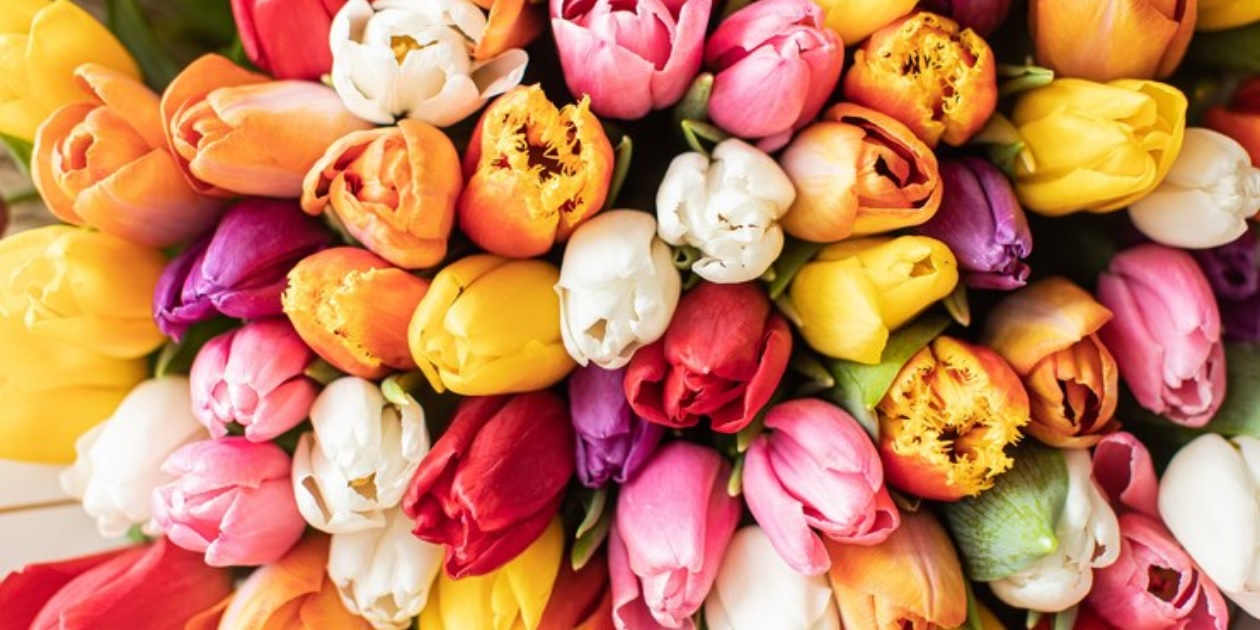 Де можна відсвяткувати 8 березня в Києві та скільки коштують квіти