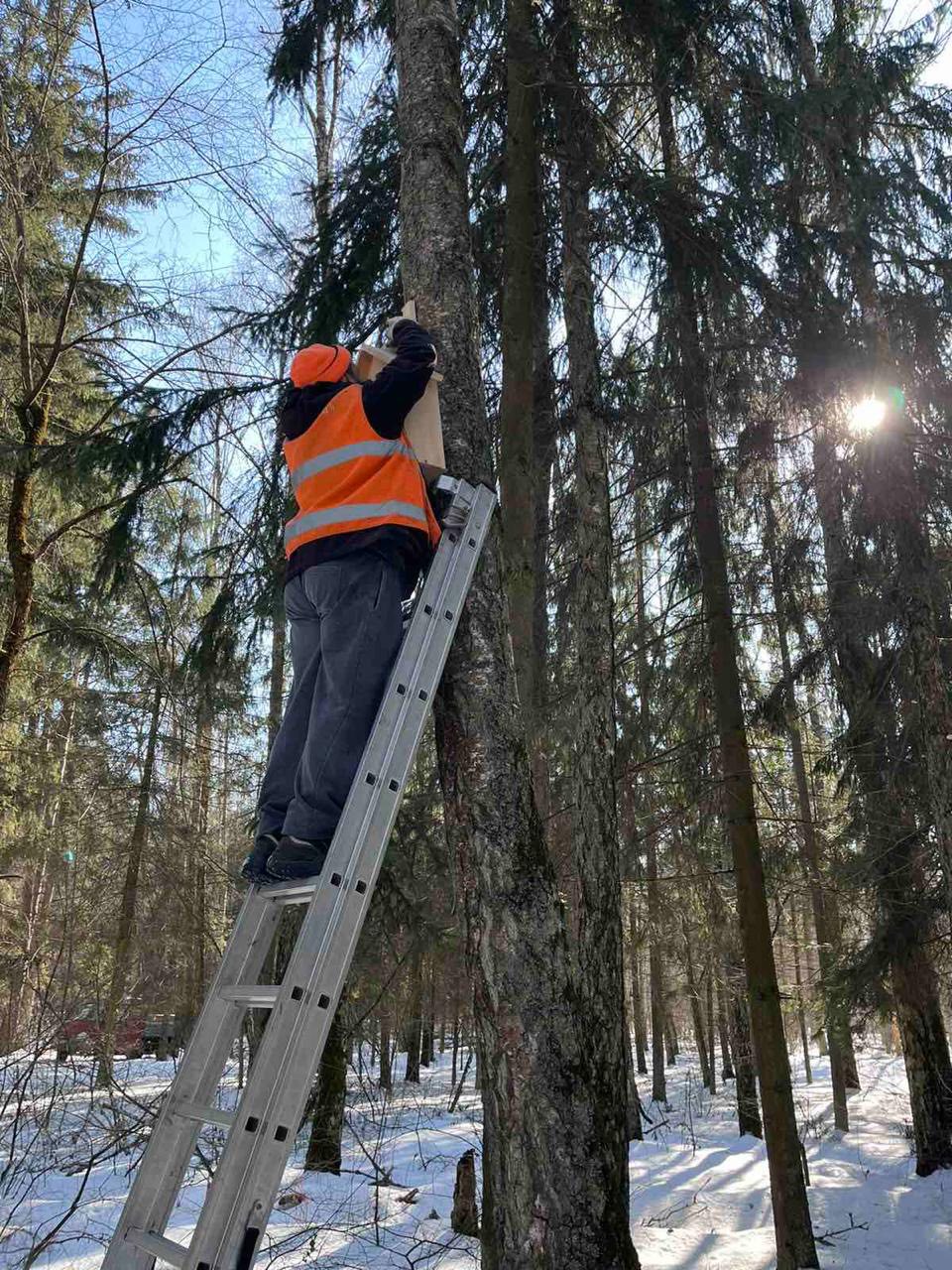 Київські ліси поповнили новими шпаківнями для гніздування птахів - фото 2