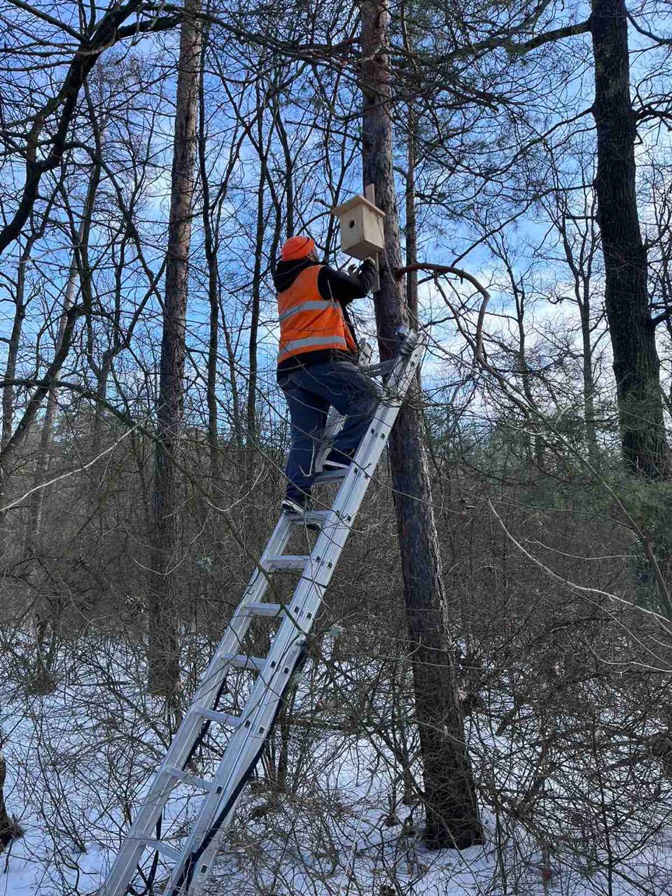 Київські ліси поповнили новими шпаківнями для гніздування птахів