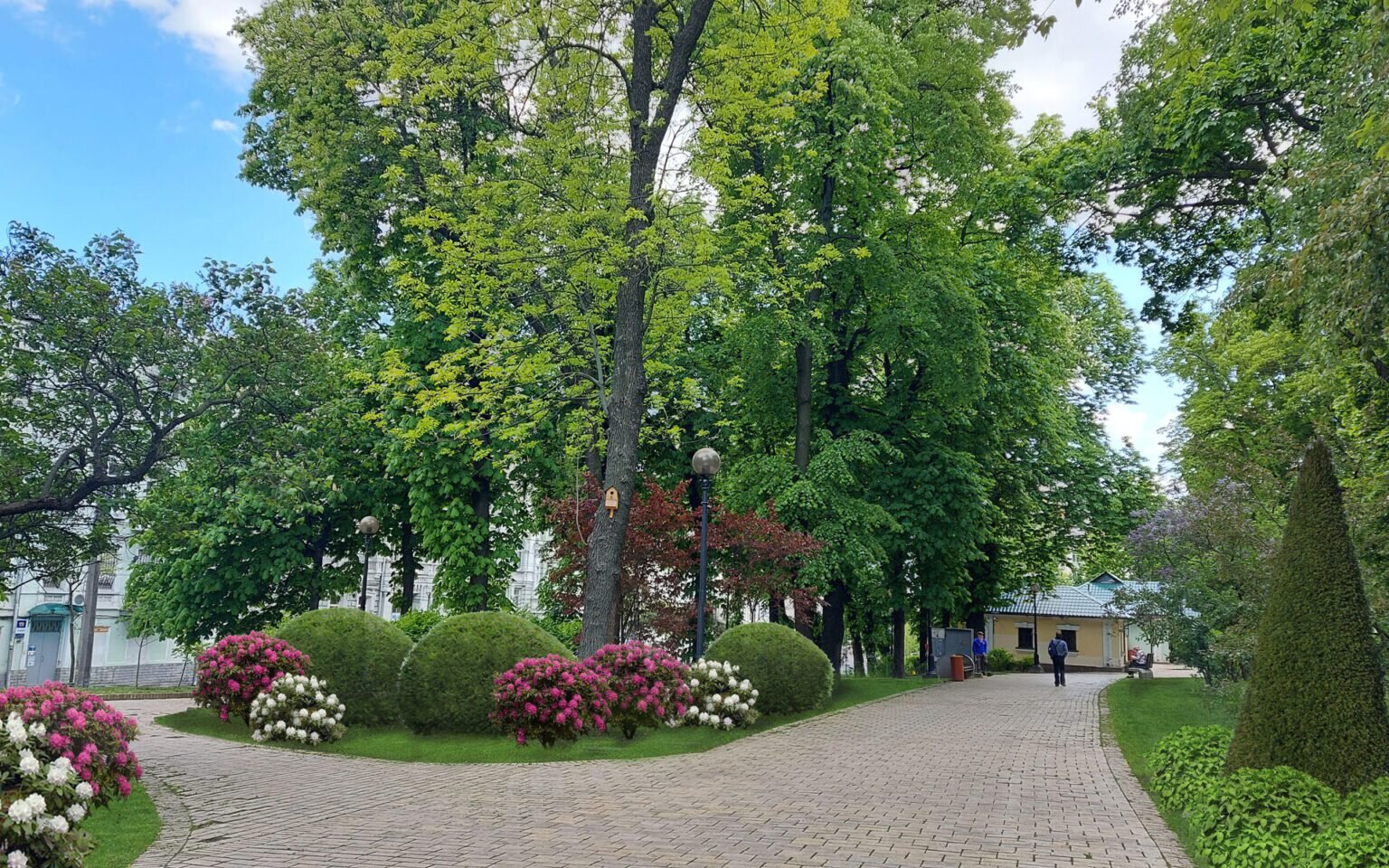 Парк Тараса Шевченка у Києві: чим він особливий - фото 3