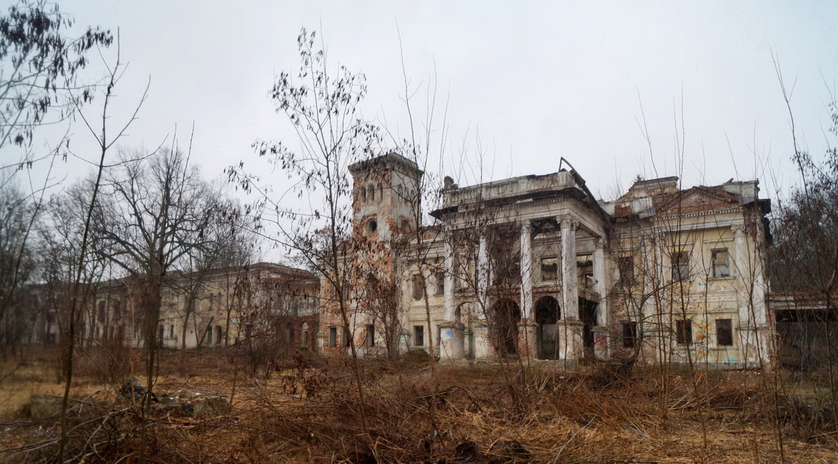 В Ободівці на Вінниччині відновлюють храм часів поміщиків Собанських - фото 10