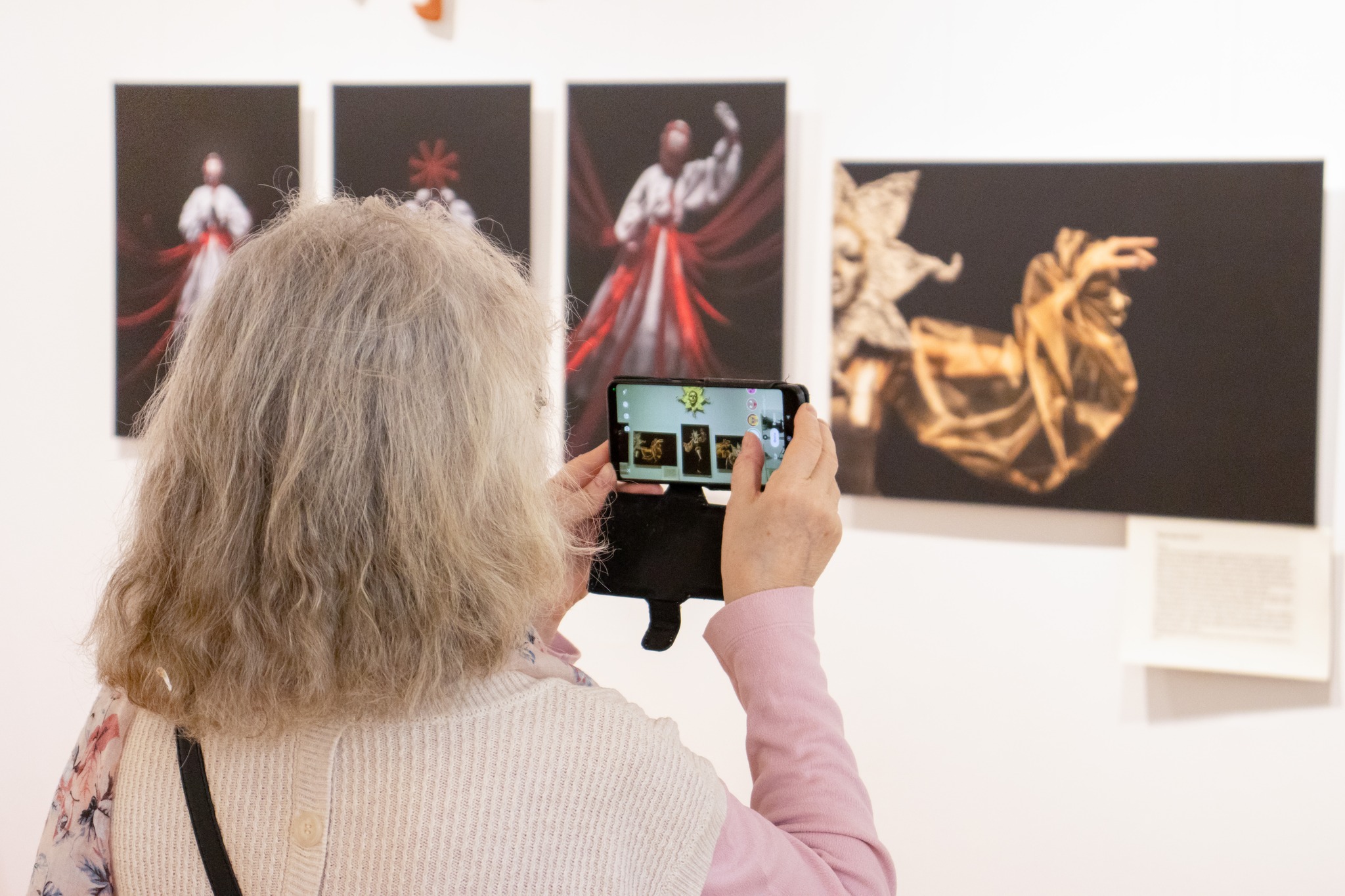 Художниця і фотограф відкрили виставку у черкаському музеї. Фото