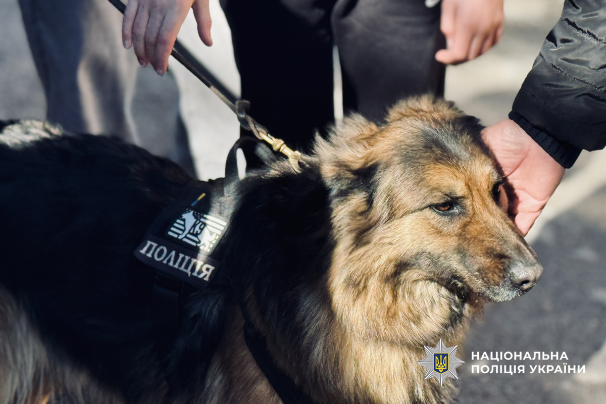 Черкаські кінологи провели заняття у Чигиринському ліцеї імені Богдана Хмельницького. Фото - фото 2