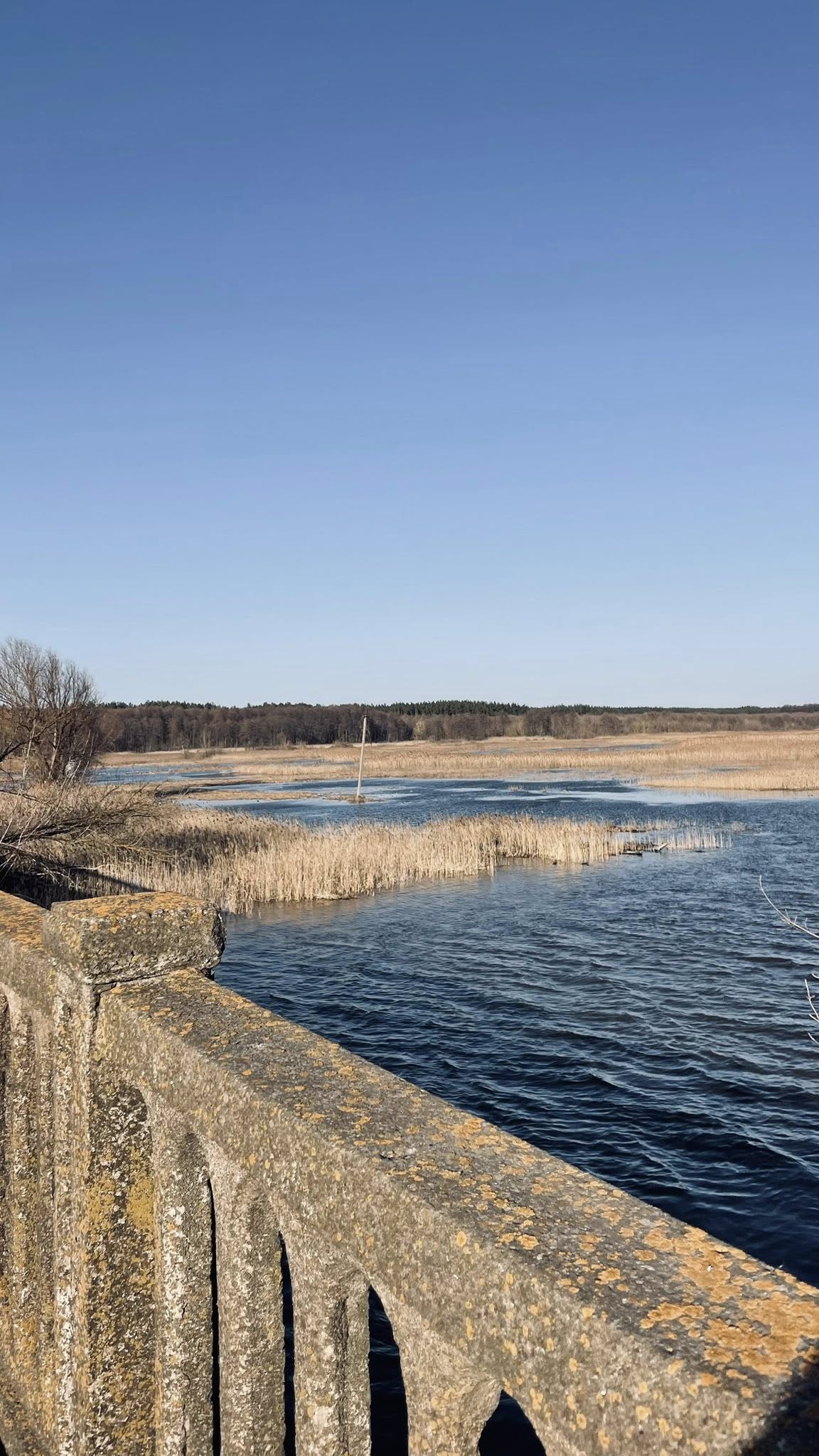 Повінь на річці Тясмин у Черкаській області. Фото