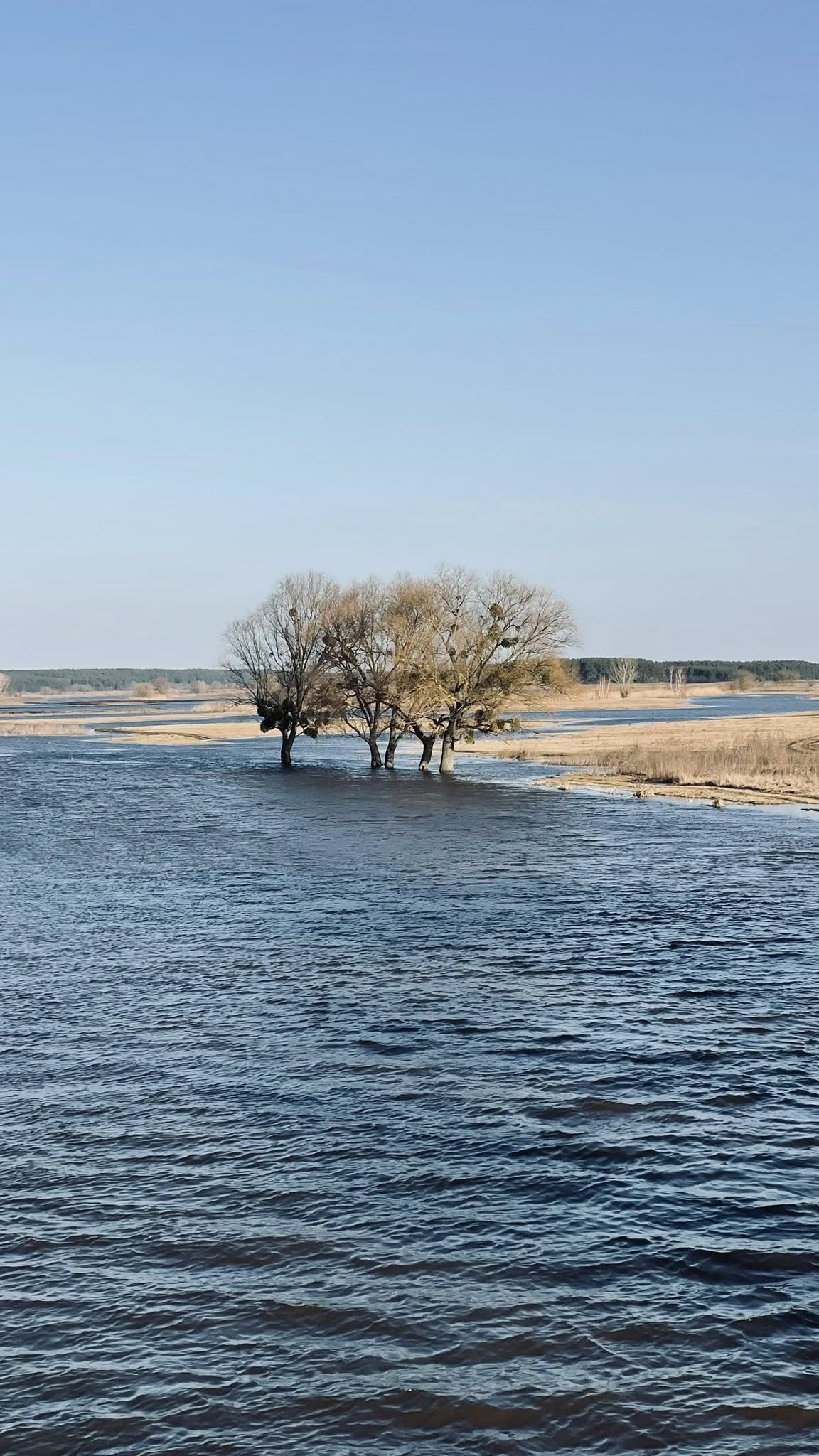 Повінь на річці Тясмин у Черкаській області. Фото - фото 2