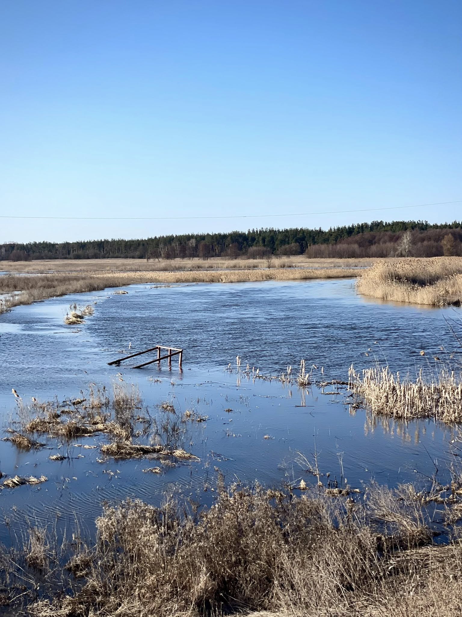 Повінь на річці Тясмин у Черкаській області. Фото - фото 4