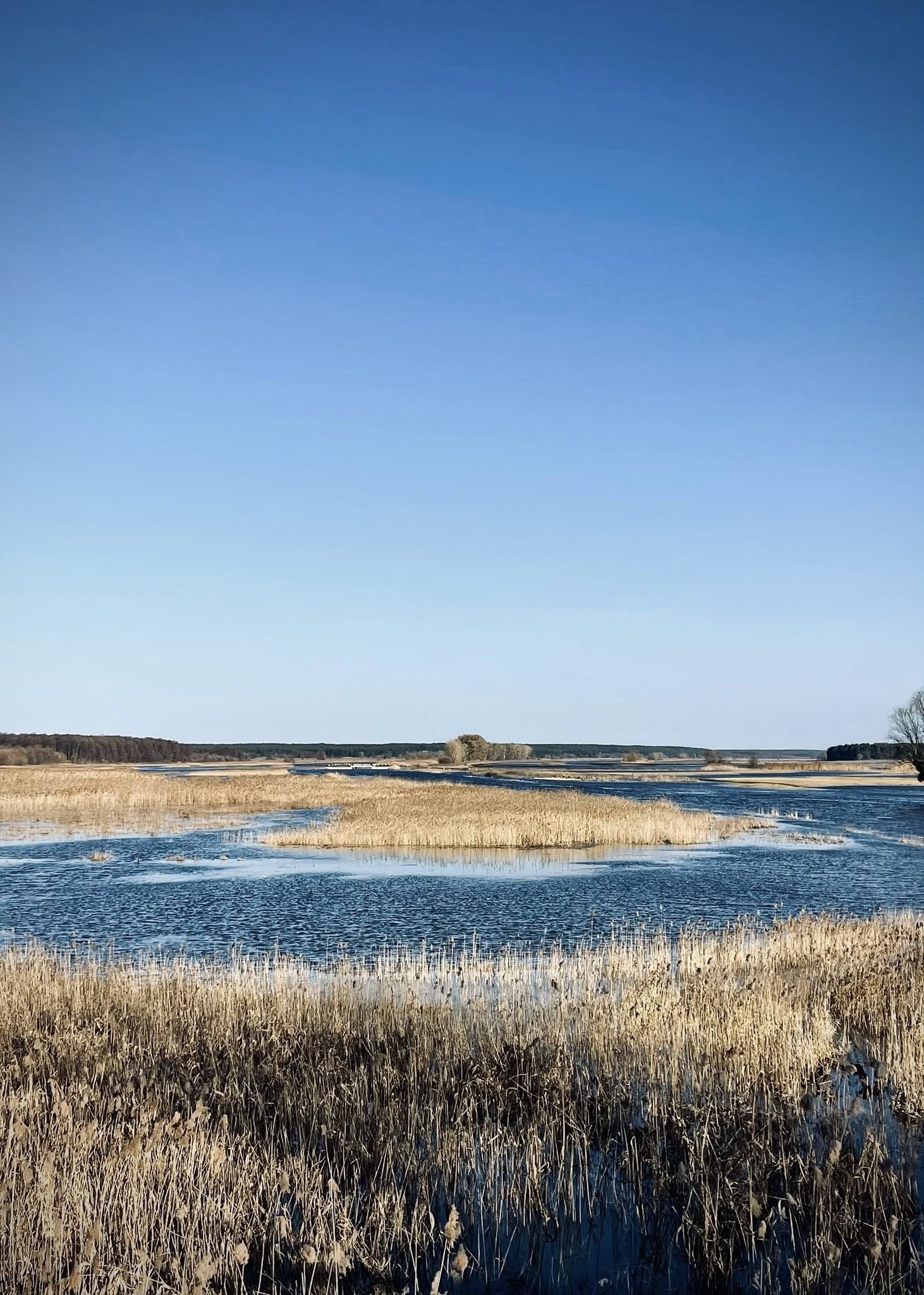 Повінь на річці Тясмин у Черкаській області. Фото - фото 5