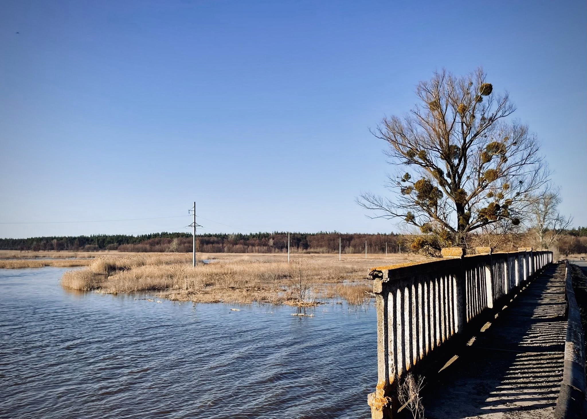 Повінь на річці Тясмин у Черкаській області. Фото - фото 6