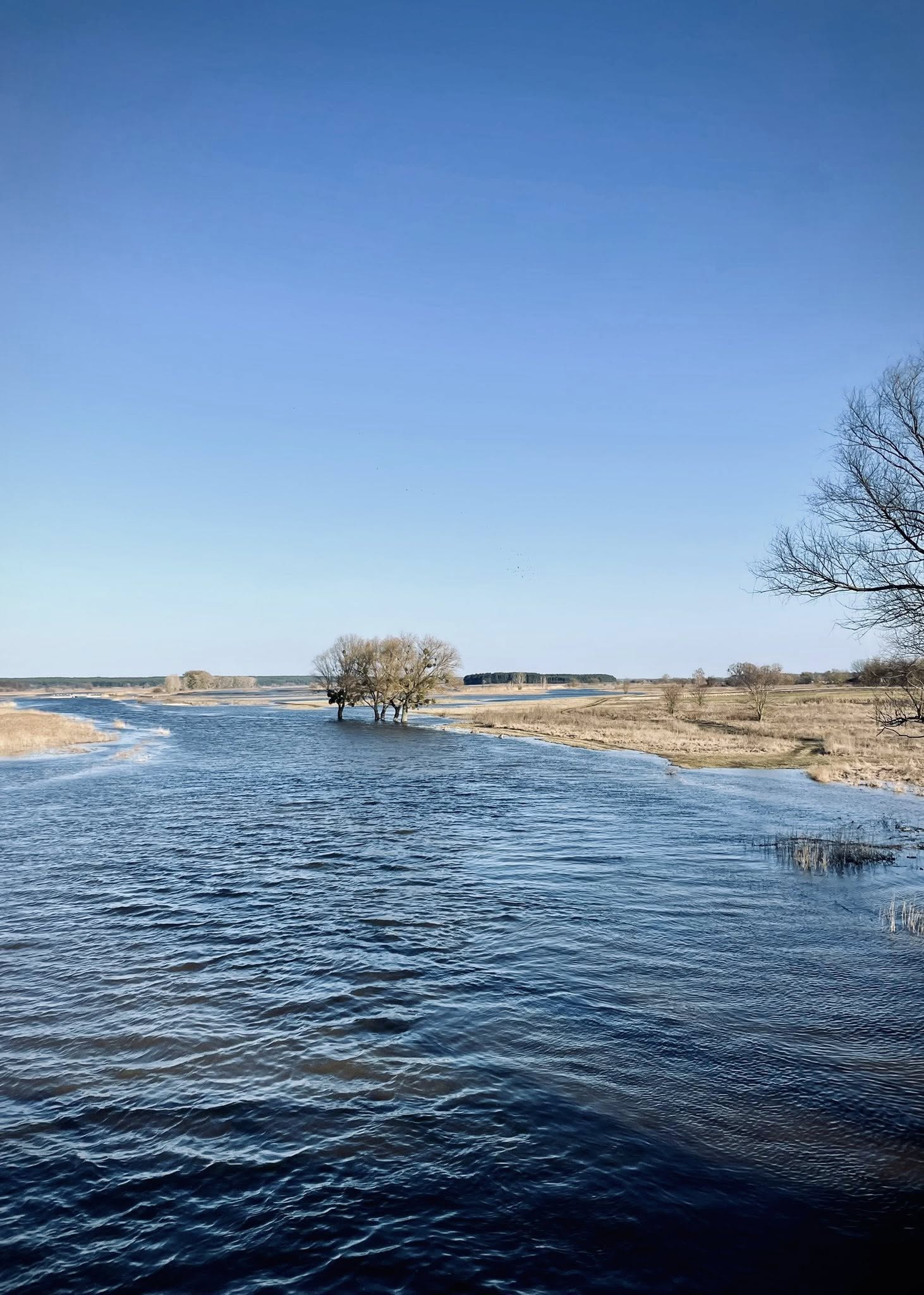 Повінь на річці Тясмин у Черкаській області. Фото - фото 7