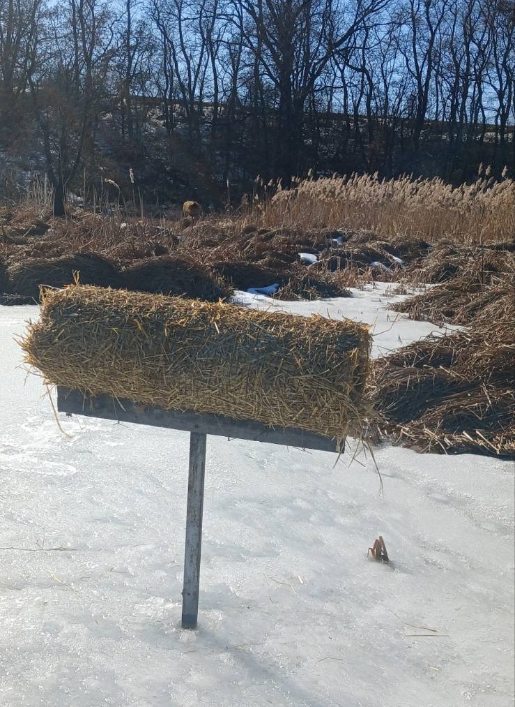 На Київщині для диких качок облаштовують штучні гнізда - фото 3