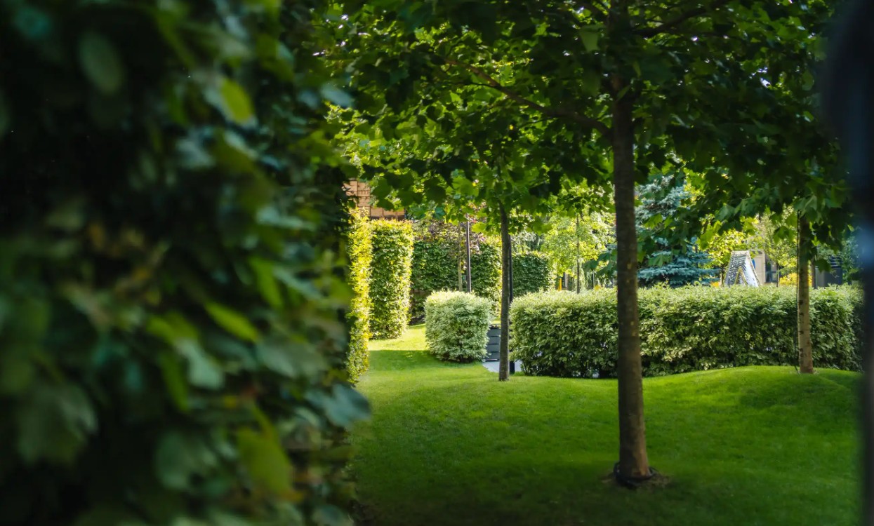 Ландшафтний дизайн 2026: ідеї, тренди, послуги - фото 2