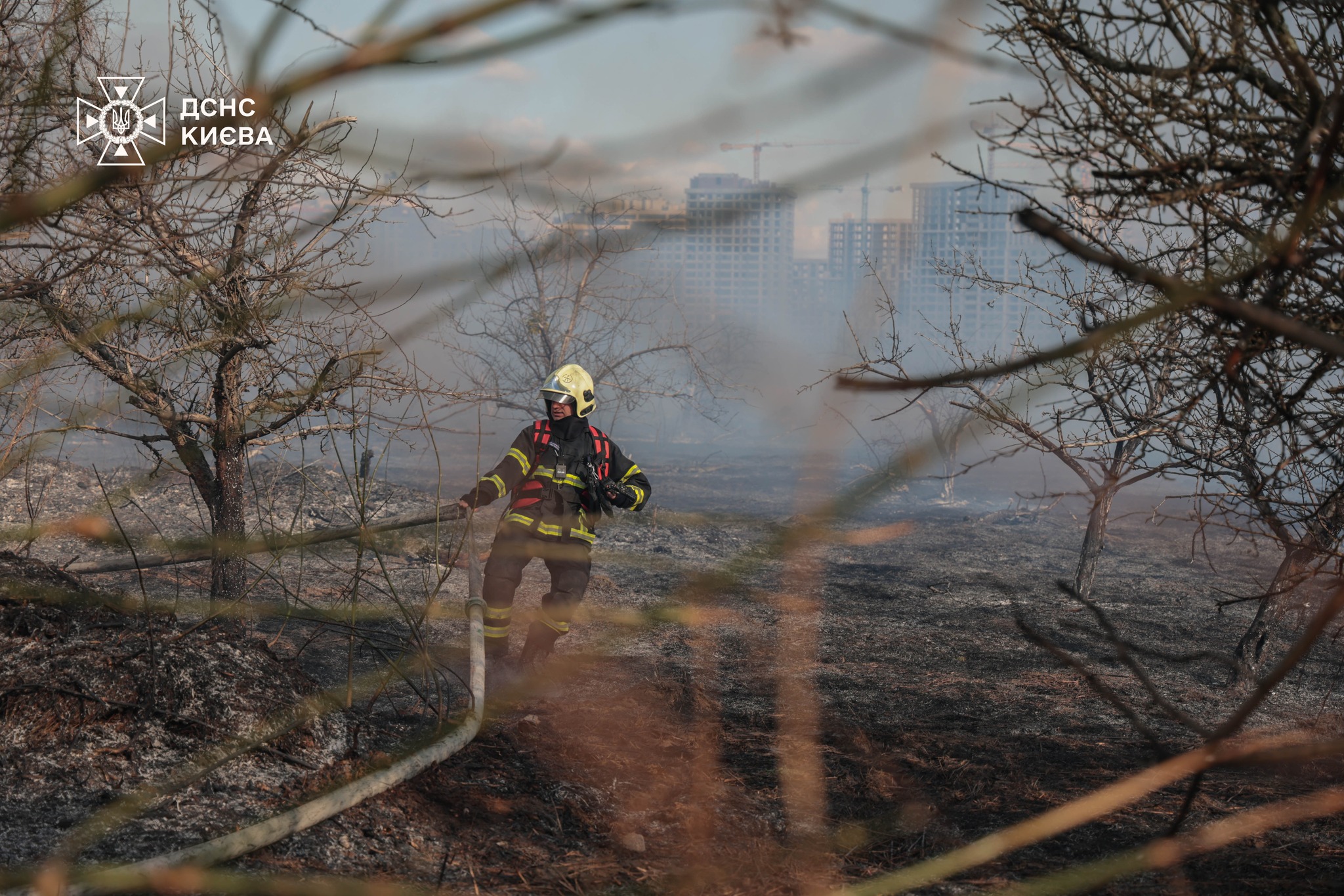 ДСНСники ліквідували масштабну пожежу на відкритій території у Києві - фото 3