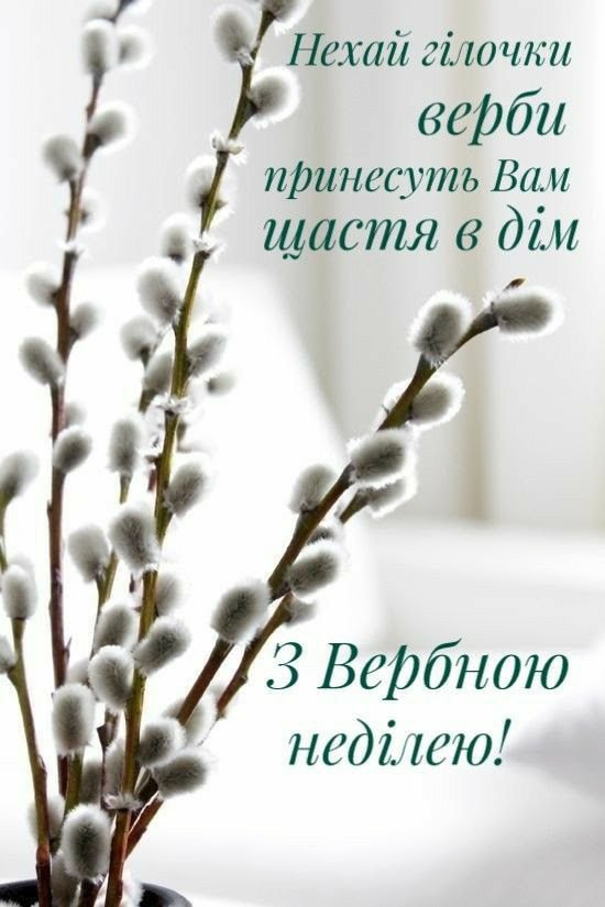 Коли Вербна неділя 2026: історія свята, привітання, традиції - фото 16