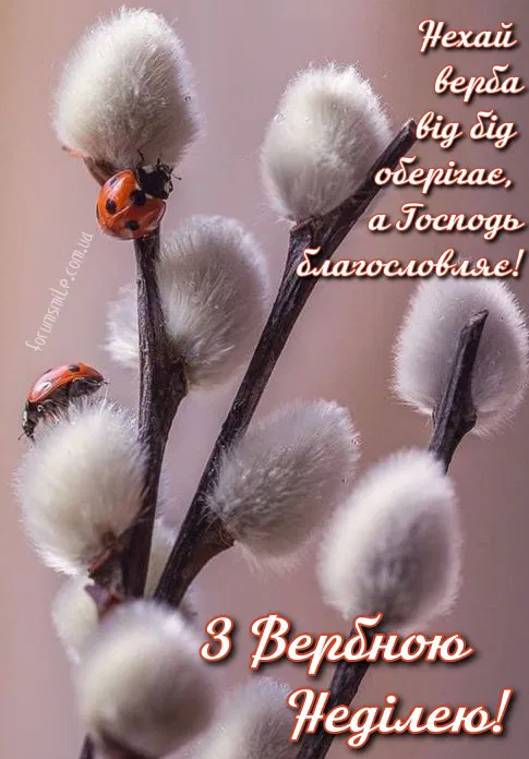 Коли Вербна неділя 2026: історія свята, привітання, традиції - фото 18