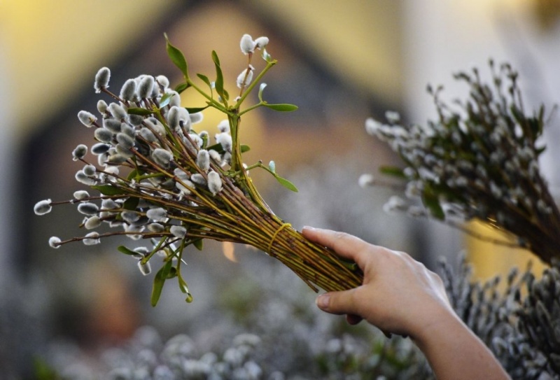 Коли Вербна неділя 2026: історія свята, привітання, традиції - фото 2