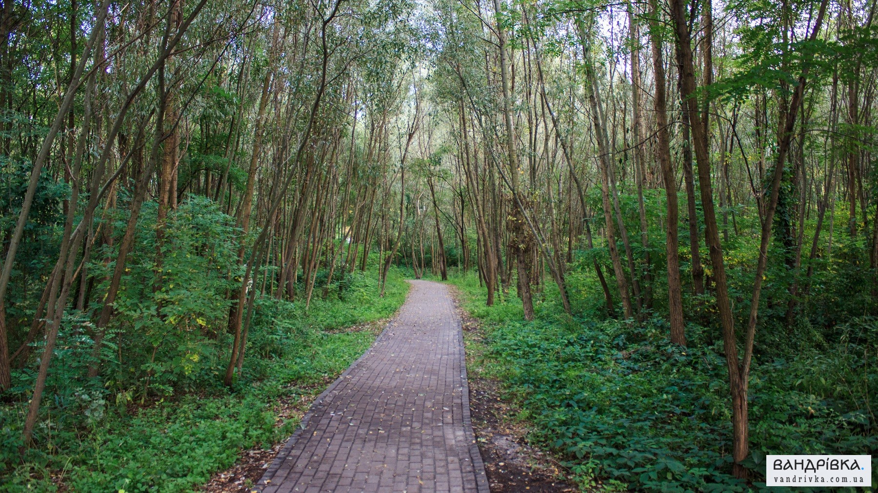 Один із найпопулярніших парків Києва: що подивитися у парку «Перемоги» - фото 21