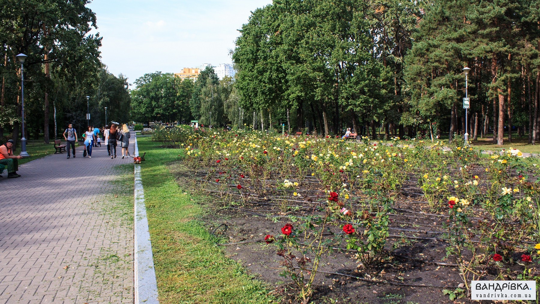 Один із найпопулярніших парків Києва: що подивитися у парку «Перемоги» - фото 24