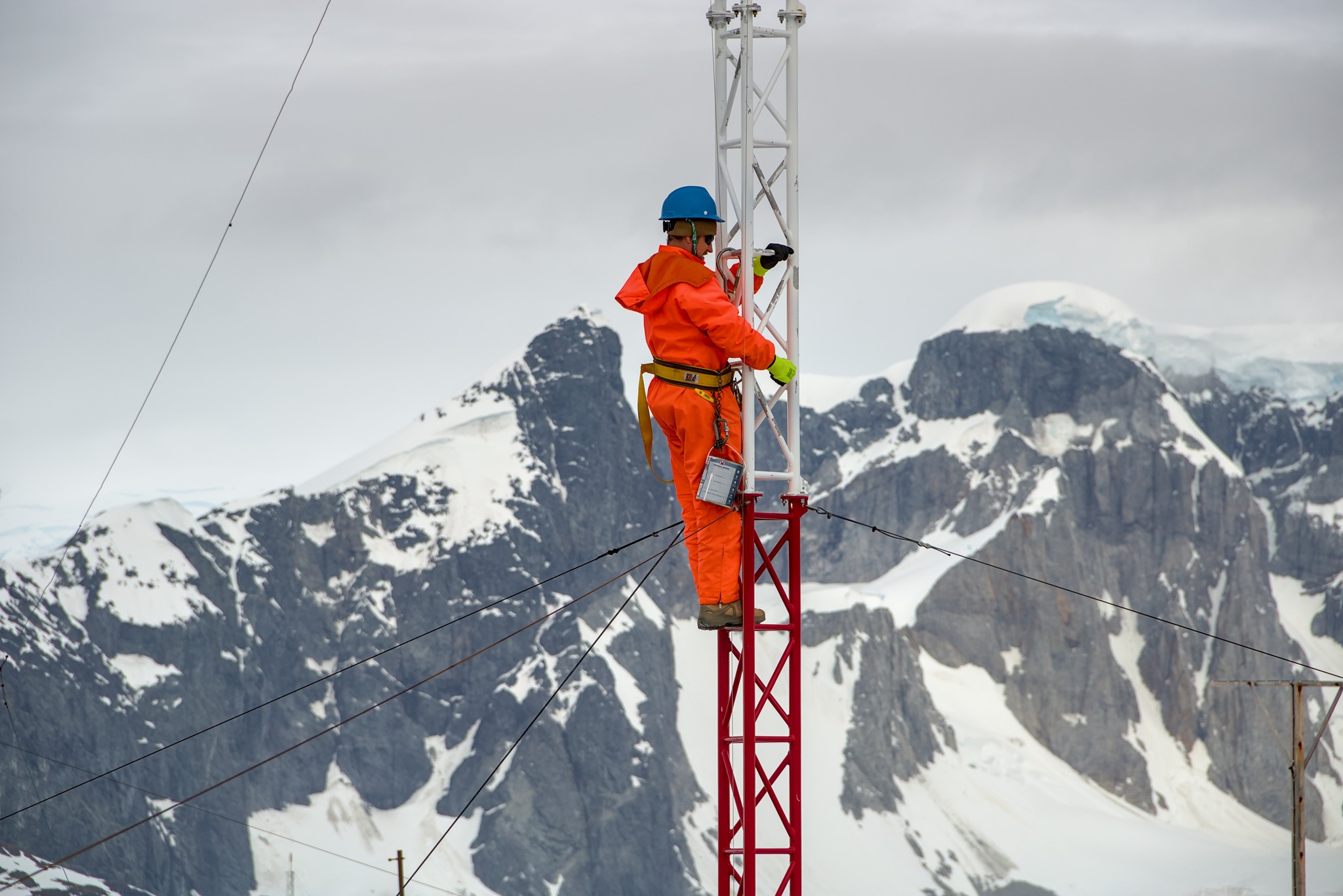 Київська біологиня перемогла у міжнародному конкурсі наукових зображень