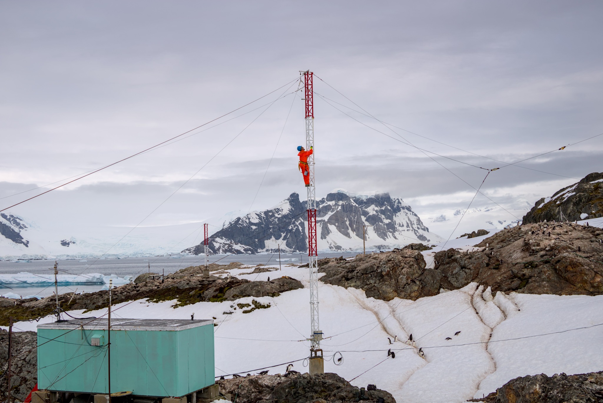 Київська біологиня перемогла у міжнародному конкурсі наукових зображень