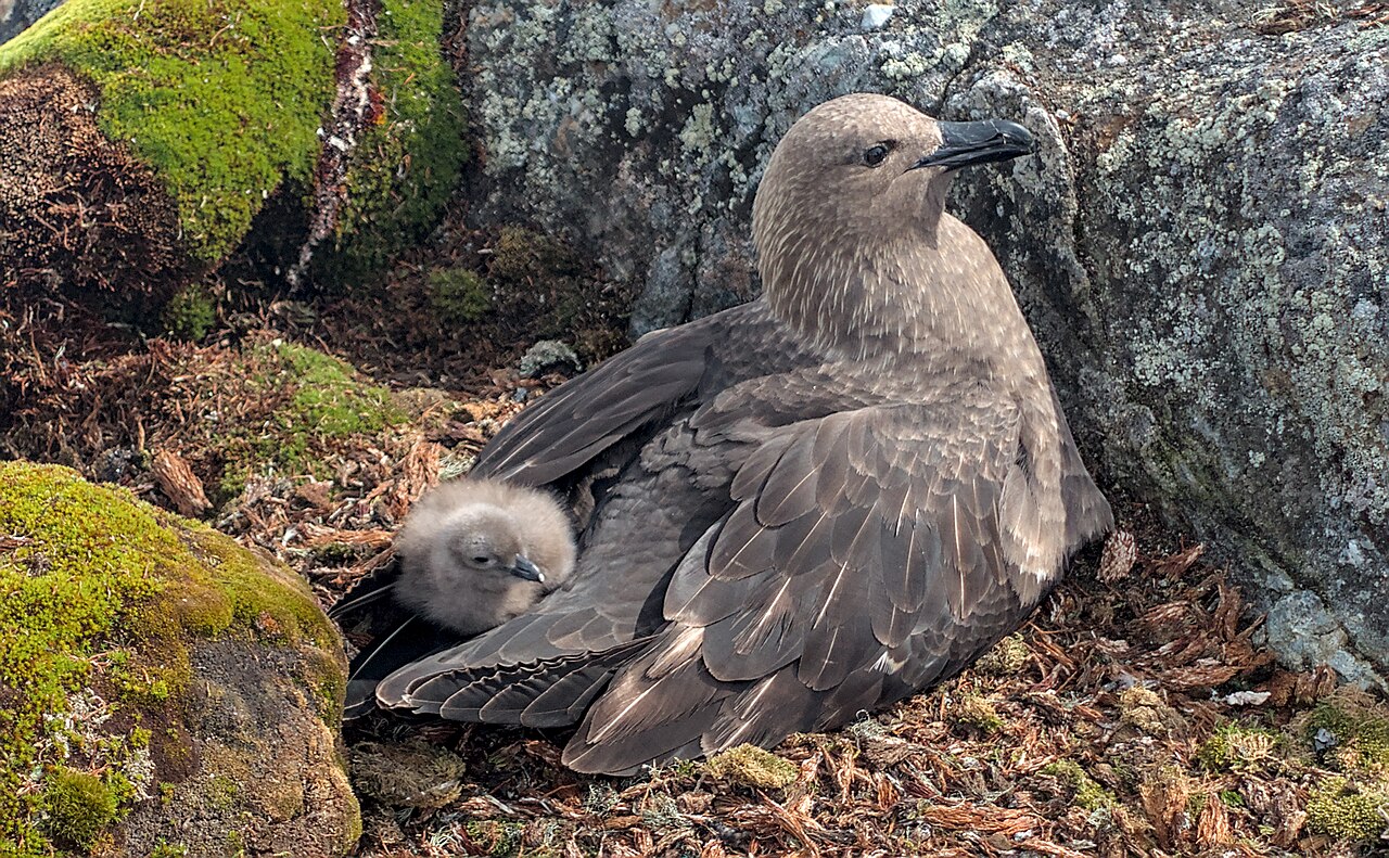 Київська біологиня перемогла у міжнародному конкурсі наукових зображень - фото 4