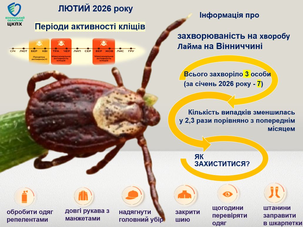 У лютому на Вінниччині фіксували випадки хвороби Лайма через укуси кліщів
