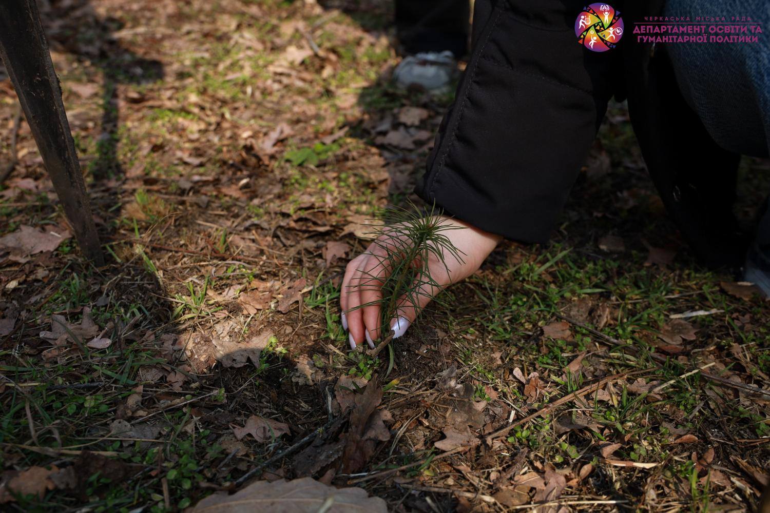 У черкаському «Сосновому бору» висадили молоді дерева - фото 5