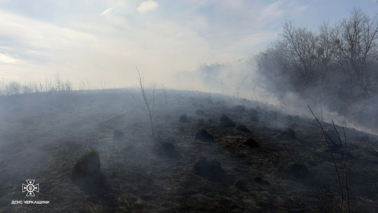 На Черкащині горів очерет і суха трава