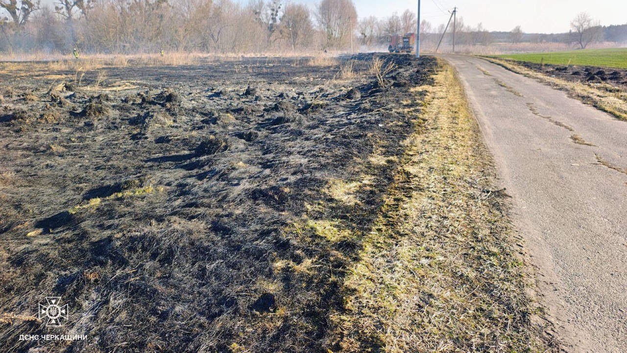 На Черкащині горів очерет і суха трава - фото 2